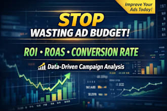 analyze your marketing campaign performance, ROI, roas and conversion rate