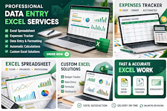 excel data entry,spreadsheets,formulas,and dashboard