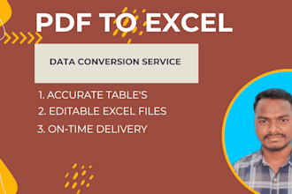 convert PDF to excel professionally