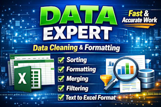 do excel data cleaning, formatting, sorting and data processing