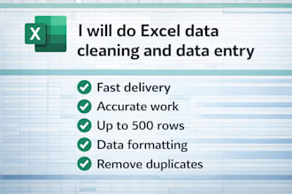 do excel data cleaning, formatting and data entry professionally