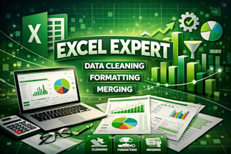 clean, format, merge, split excel data