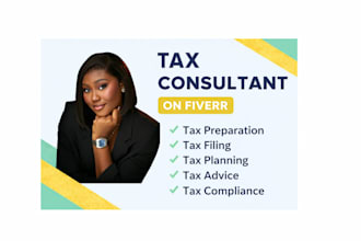 provide tax preparation, filing and consulting