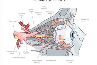 design biology, anatomy, and medical diagram illustrations
