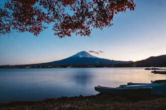 answer any questions about japan quickly and clearly