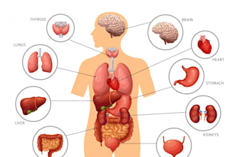 draw surgical, anatomical, or biological 2d illustrations