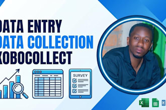 provide expert data entry ,data cleaning and excel analyis