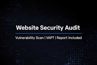perform website security testing and vulnerability assessment