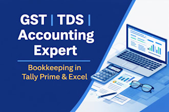 provide professional accounting, bookkeeping, and gst compliance services