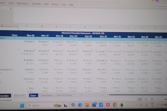 do professional excel data entry copy paste pdf to excel and fast typing task