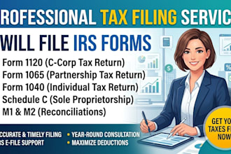 file irs form 1120 1065 1040 schedule c m1 m2 tax return