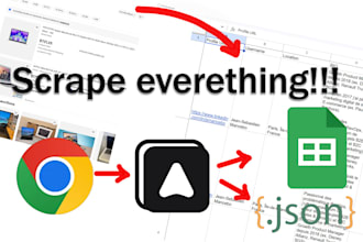 provide a proffessional google website scraping