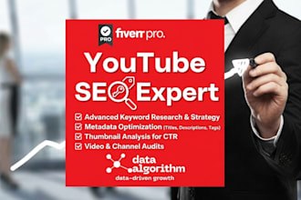 provide  the best youtube seo