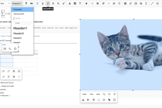 build a custom or integrate wysiwyg or HTML editor