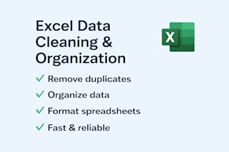 clean and organize your excel data professionally