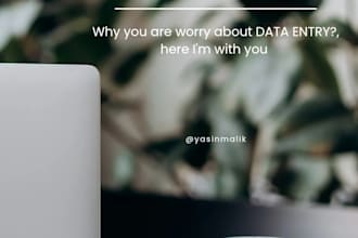 do meticulous data entry with elite level accuracy