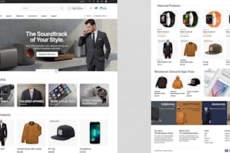 design luxury german shopify website ecommerce dropshopping shopify booking SEO