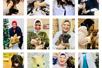 veterinary consultation for your dog or cat