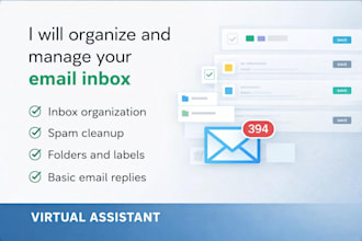 organize clean and manage your email inbox professionally