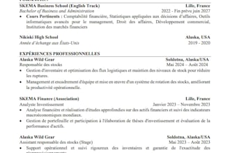 design ats resume for investment banking internships
