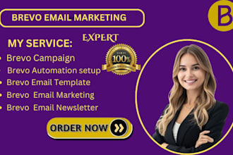 organize your brevo contact database fix broken  brevo email campaign