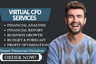 provide virtual cfo services, financial analysis and accounting support