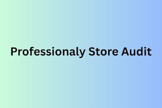 do professional shopify audit