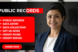 public record search, asset location and background research