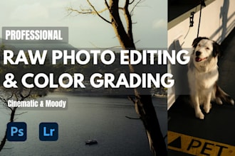 professionally color grade and edit your photos