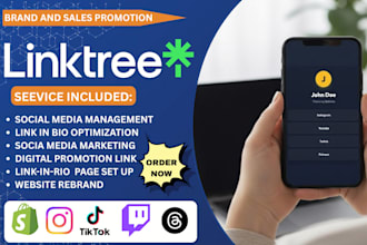 design linktree bio link landing page for social media business accounts