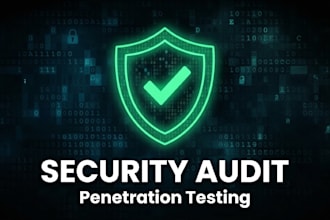 pen test your website and provide a detailed security report