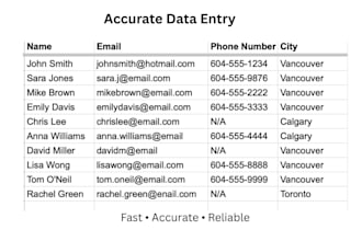 do fast and accurate data entry and clean up your messy data