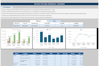 build data driven marketing analytics system to optimize ROI and reduce ad spend