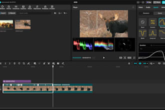 professionally edit videos, images, ads, and documents