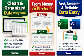 accurate data entry and organization