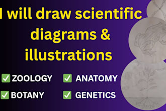 draw physiology biology zoology botany scientific diagrams