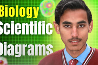 draw biology scientific diagrams for you