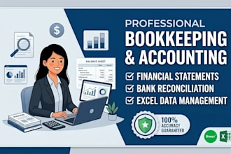 provide professional bookkeeping and financial accounting servicesv