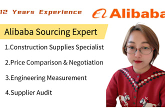 provide professional construction takeoff and estimates