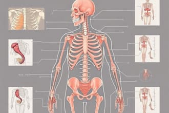 design scientific, medical, educational illustration for you