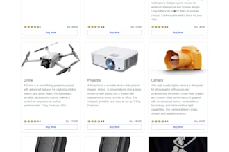 develop custom e commerce website with admin panel