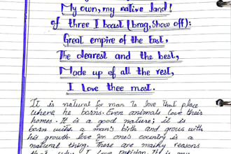 provide professional handwriting and expert ms word assignment services