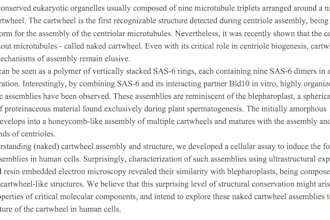 write a research abstract