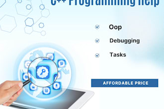 do cpp programming tasks oop projects and debugging