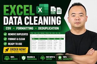 do excel data cleaning, formatting and data cleanup