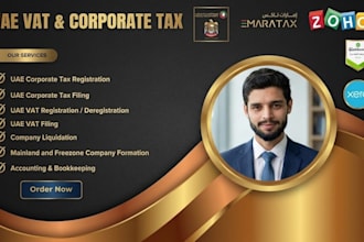 handle uae vat, corporate tax filing, and accounting