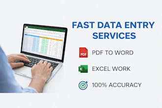 do fast data entry, excel, word and PDF to word conversion