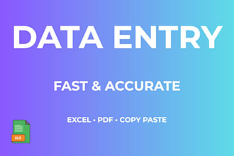 be your data entry and excel specialist