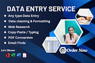 do accurate and fast data entry, copy paste, excel work