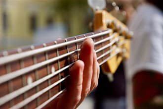 be your experienced session bass player